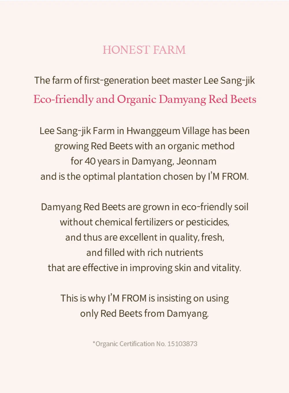 Beet Refresh Pad (260ml) - Image 19