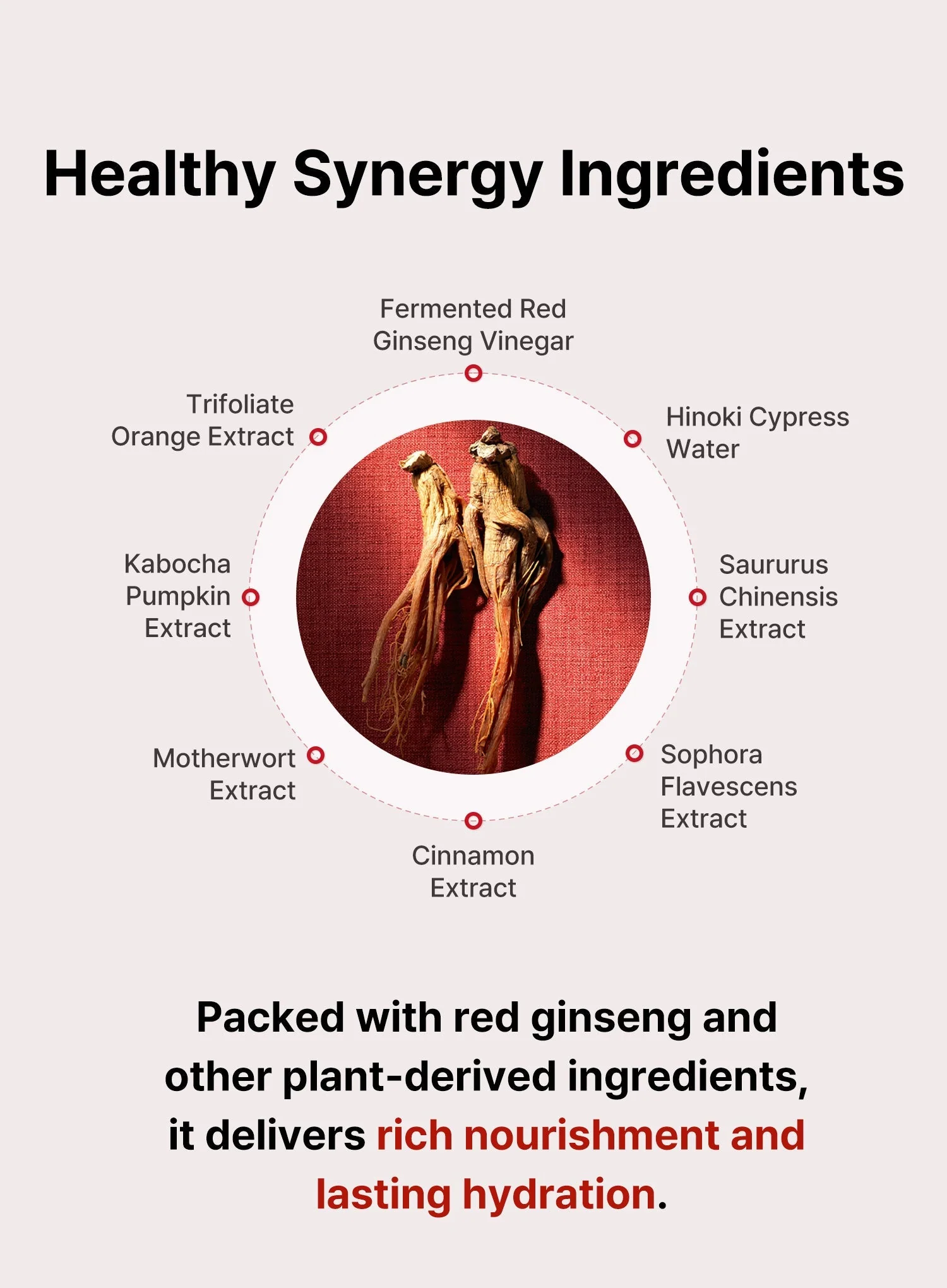 Bonyongo Red Ginseng Vinegar Emulsion (150ml) - Image 6