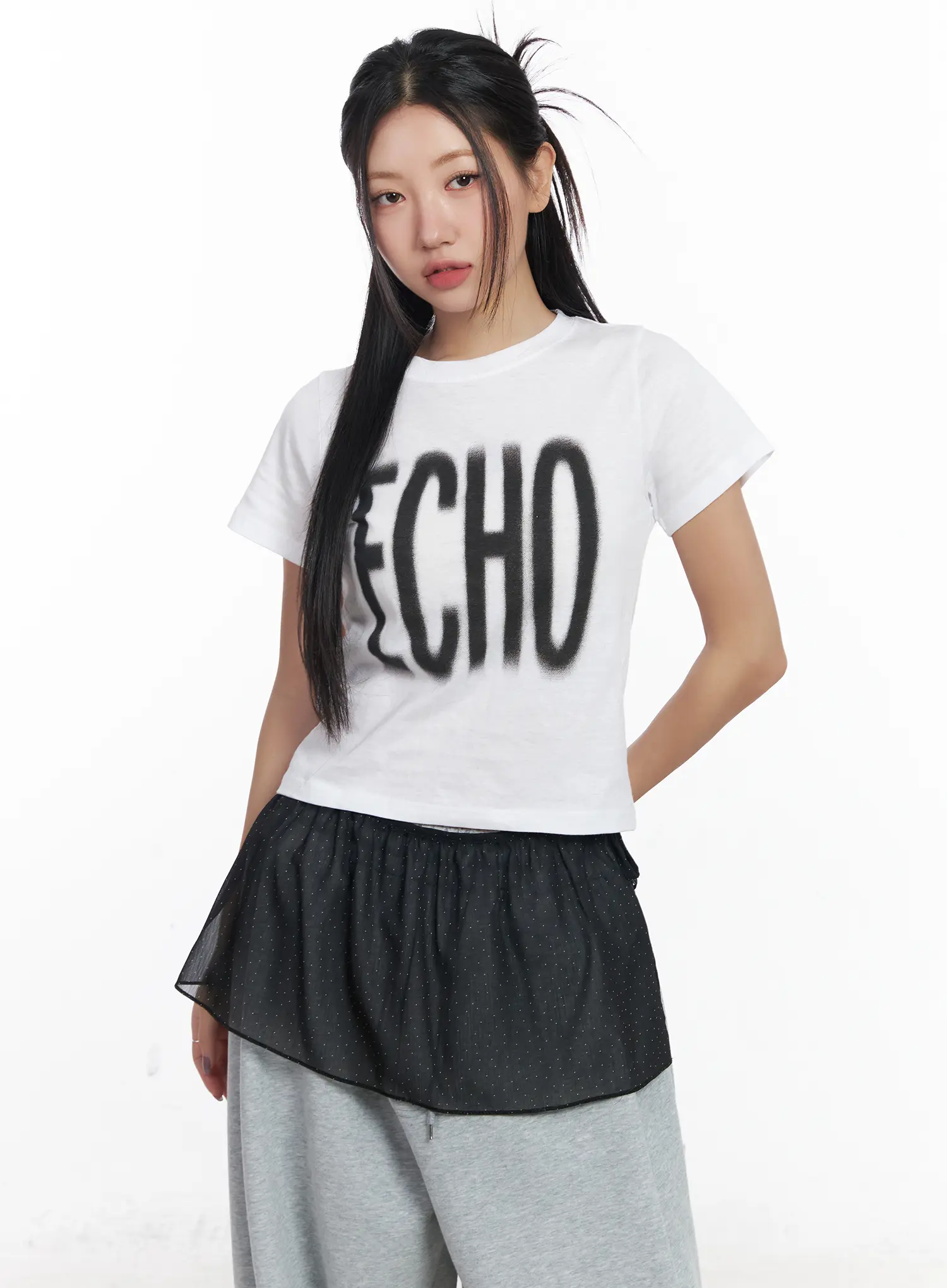 Echo Lettering Crop Tee CJ530