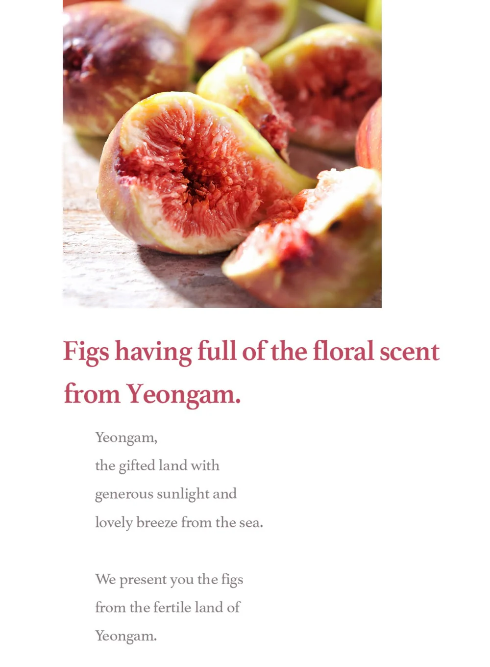 Fig Scrub Mask (120g) - Image 11