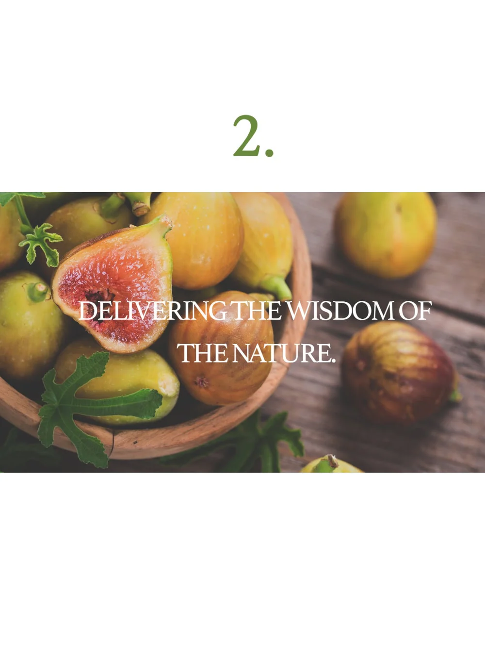 Fig Scrub Mask (120g) - Image 12