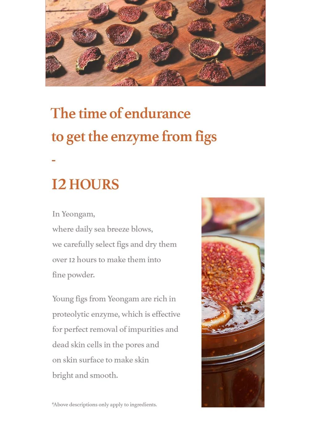 Fig Scrub Mask (120g) - Image 14