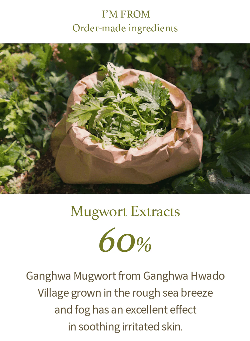 Mugwort Gel Cleanser (150ml) - Image 3