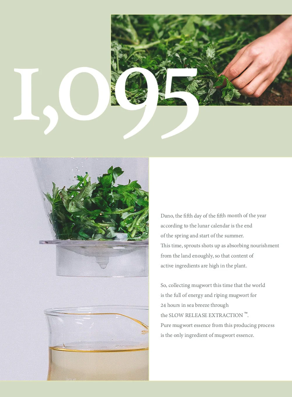 Mugwort Mask (110g) - Image 10