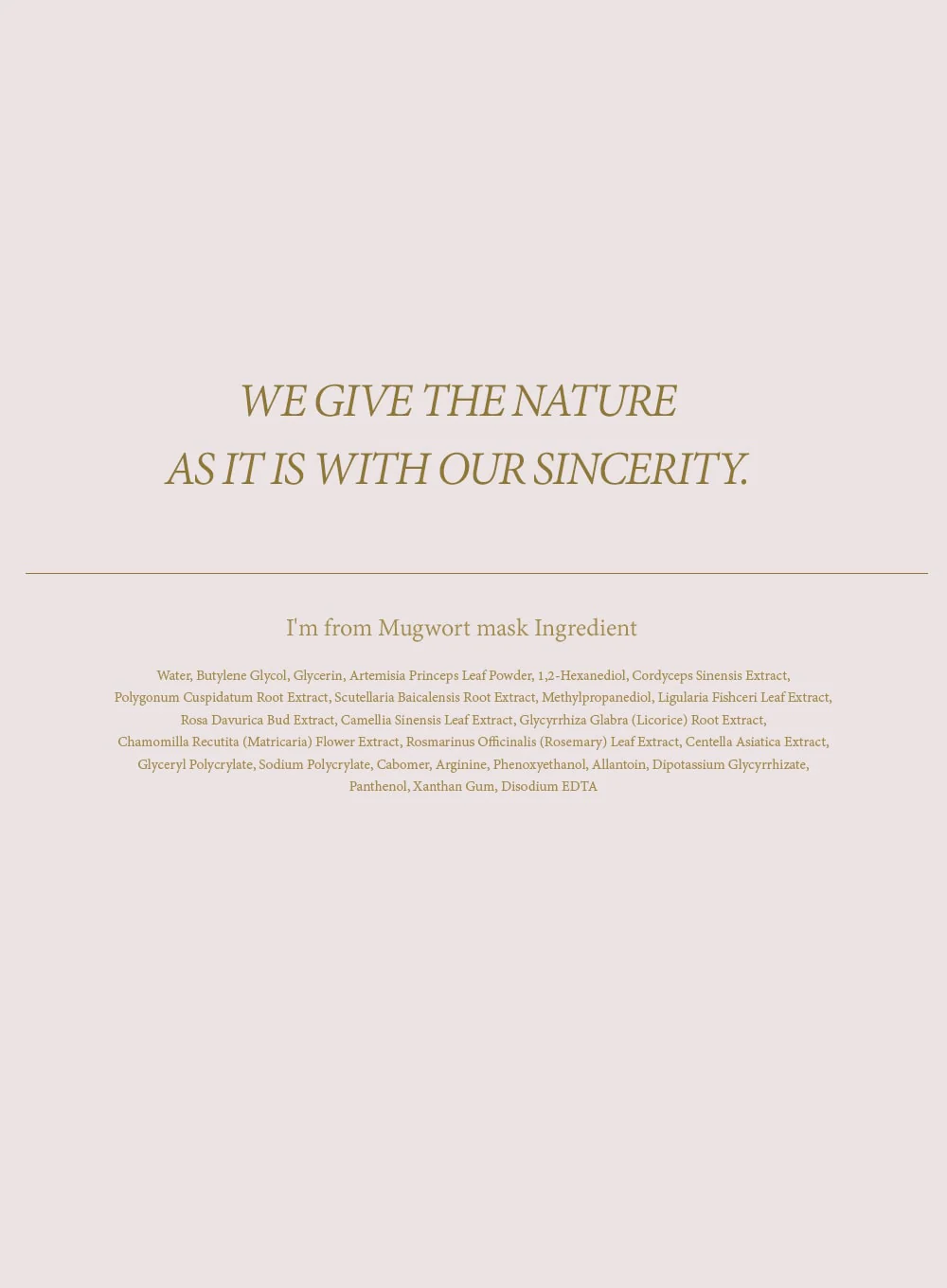 Mugwort Mask (110g) - Image 16