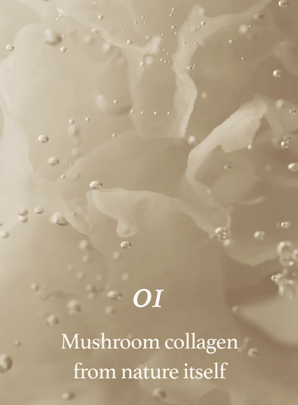 Mushroom Collagen Cream (50ml) - Image 5