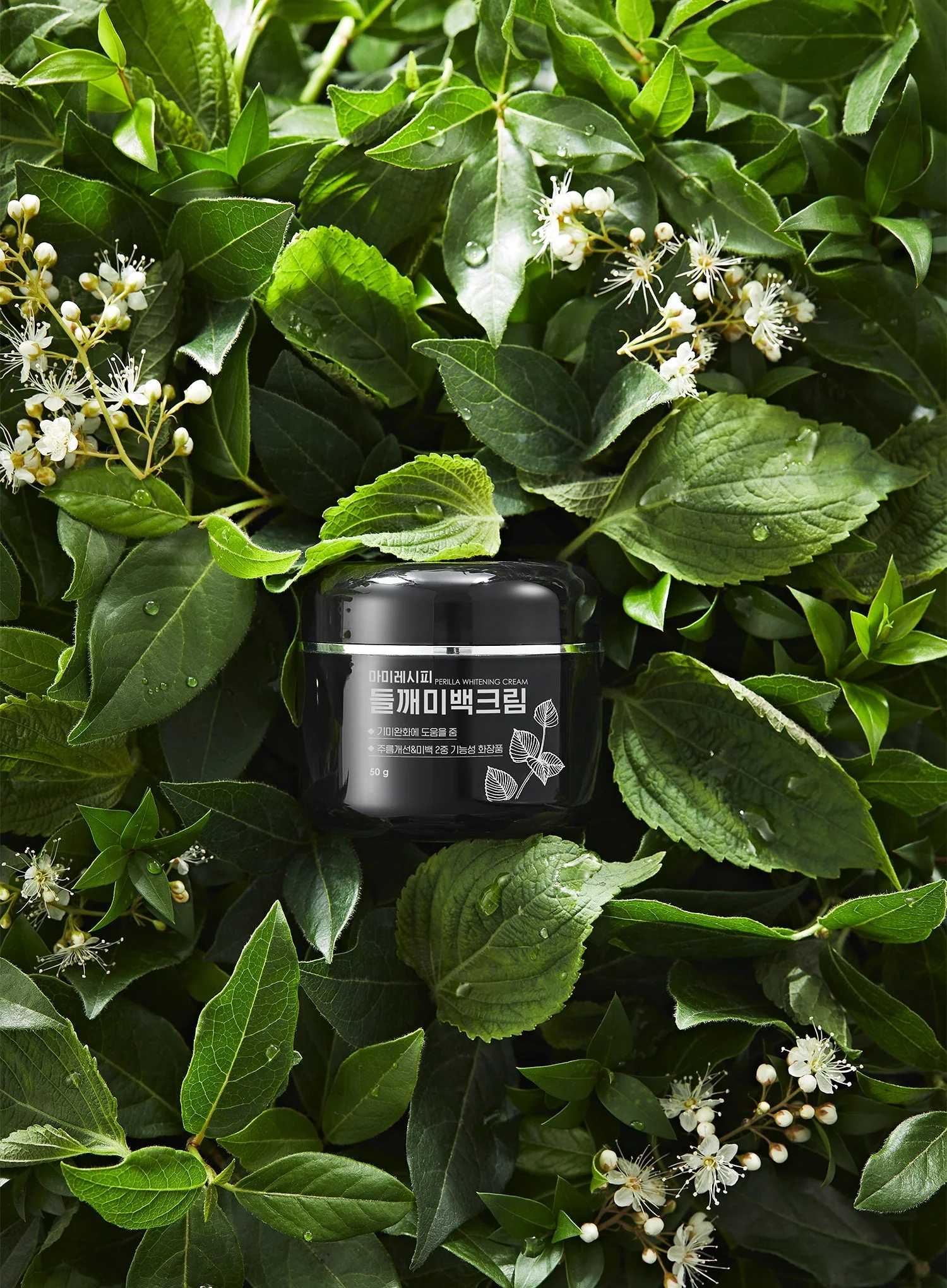 Perilla Brightening Cream Plus (50g) - Image 3