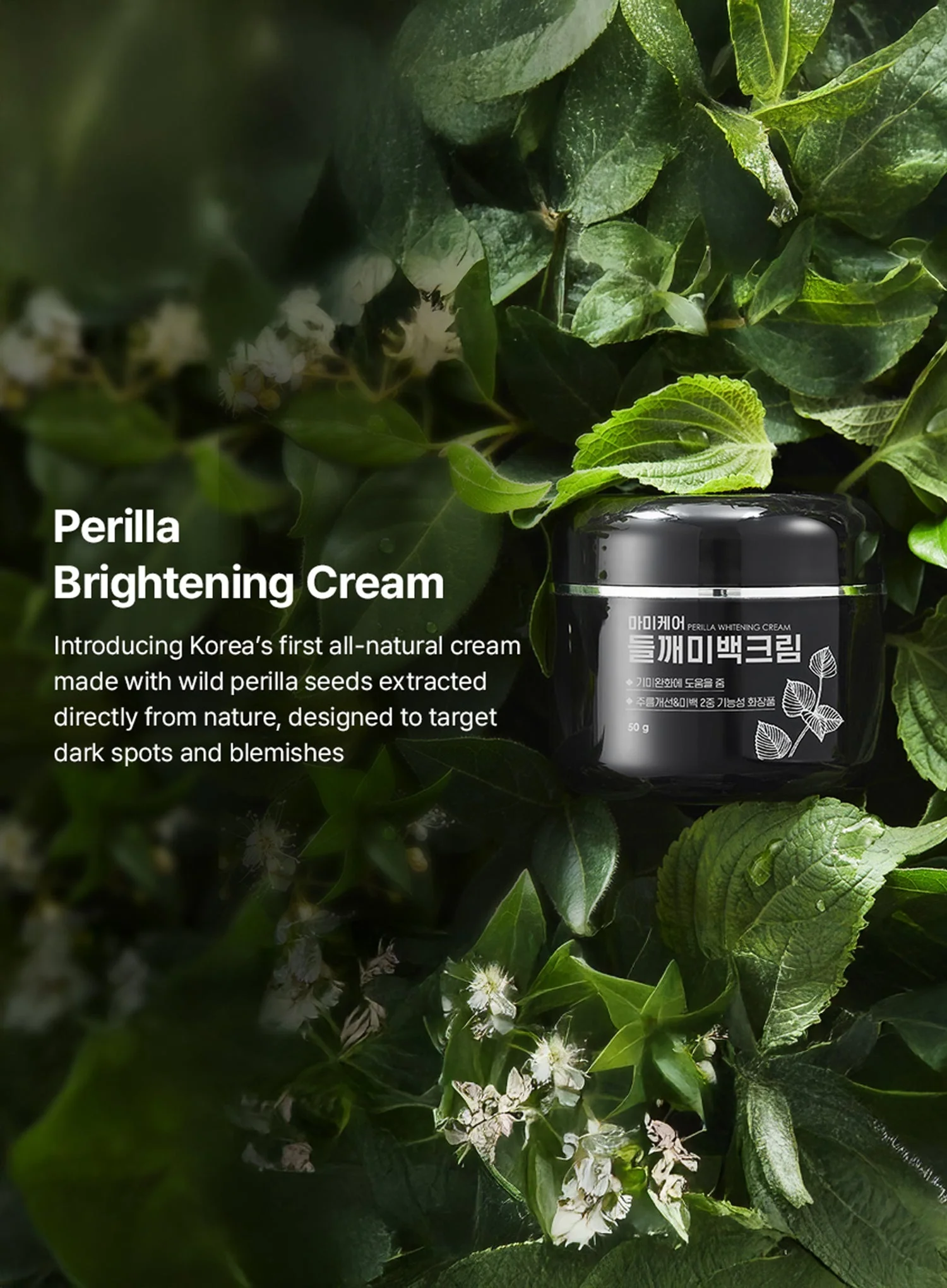 Perilla Brightening Cream Plus (50g) - Image 4