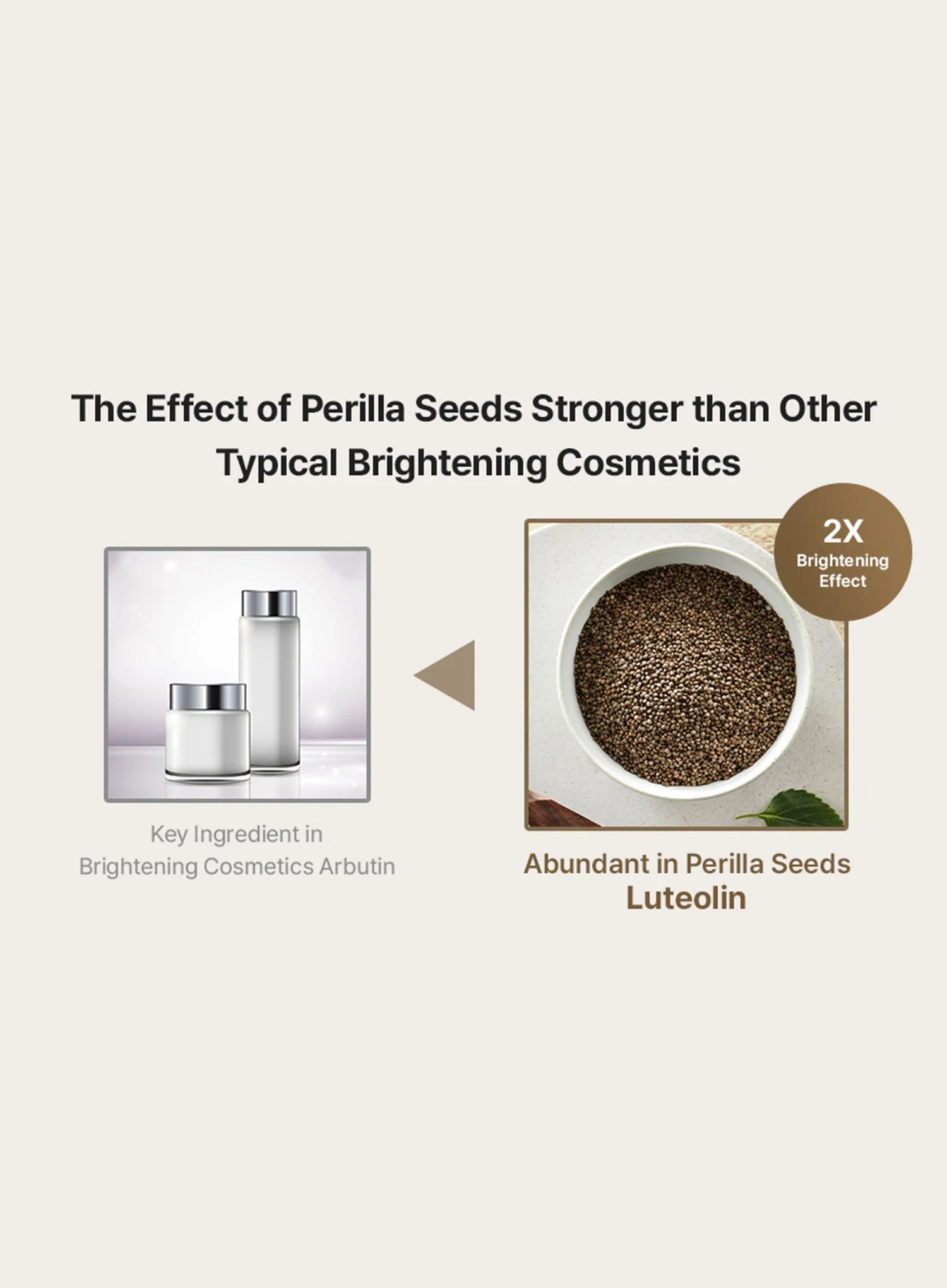 Perilla Brightening Cream Plus (50g) - Image 6