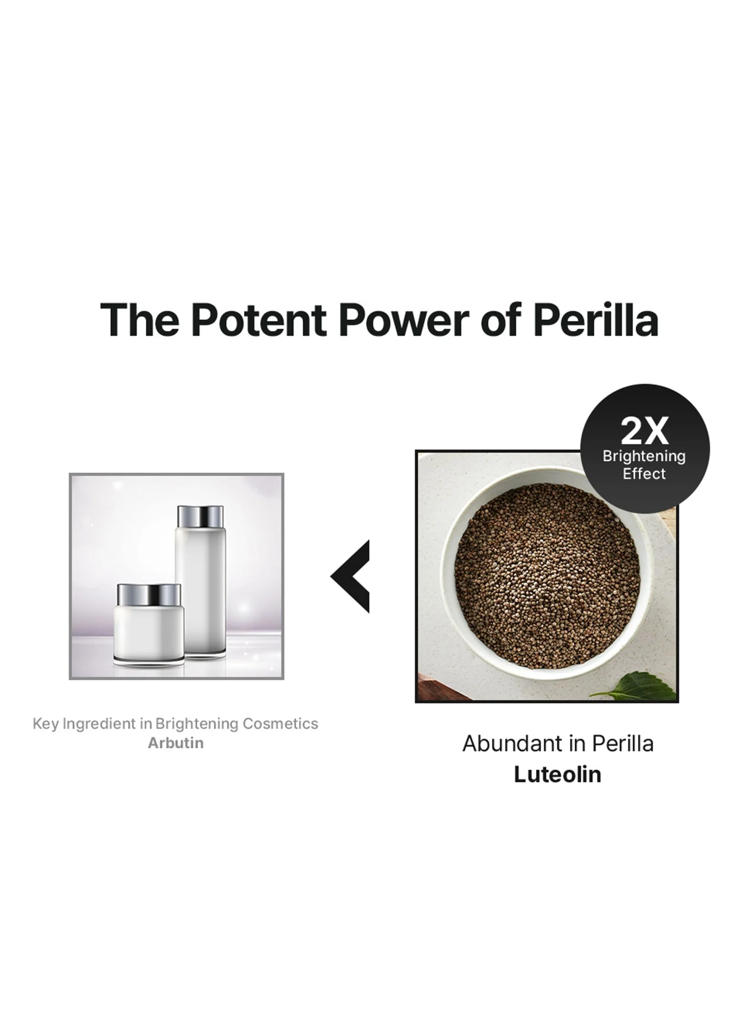 Perilla Brightening Serum (50ml) - Image 4