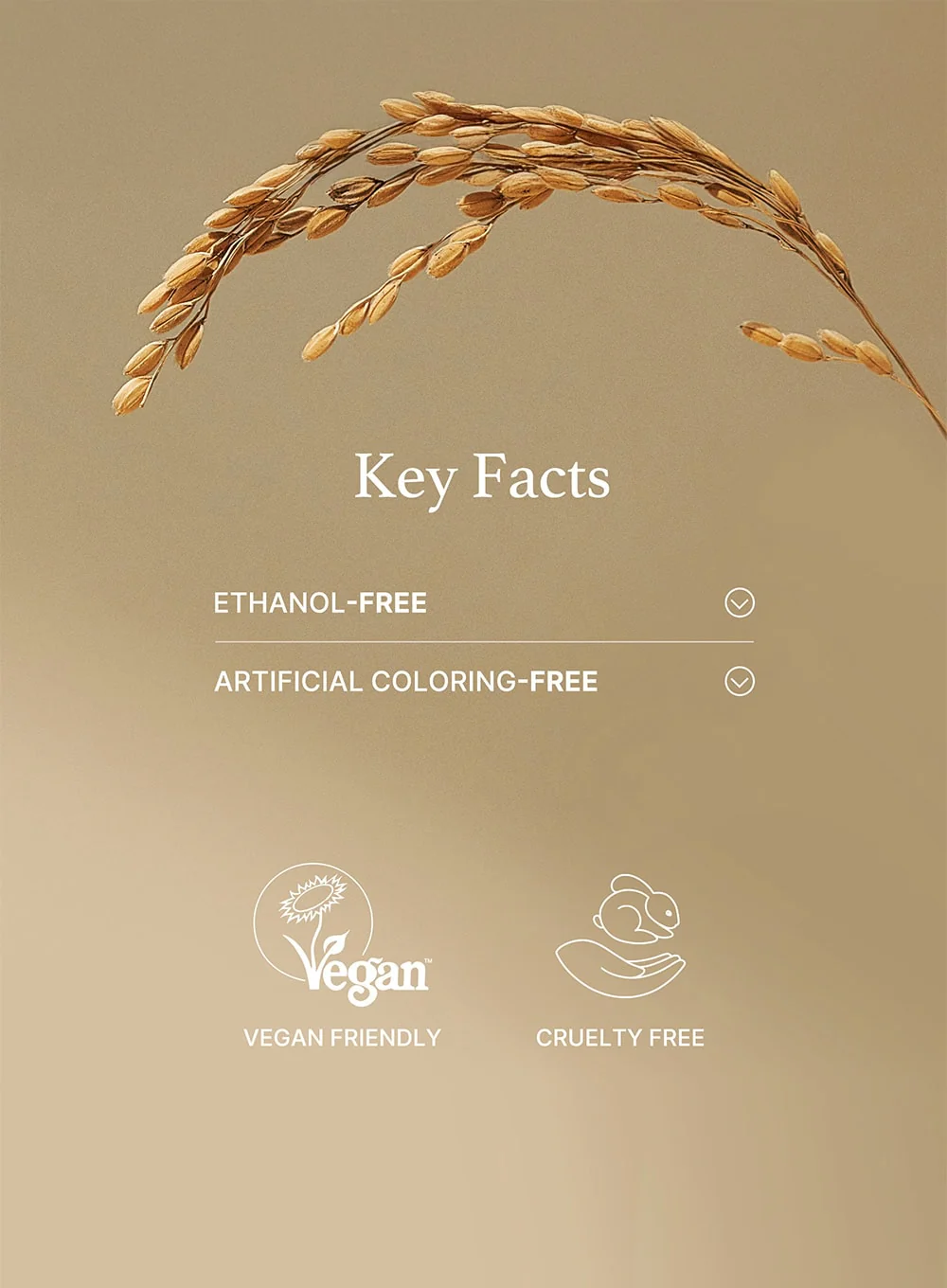 Rice Mask (110g) - Image 7