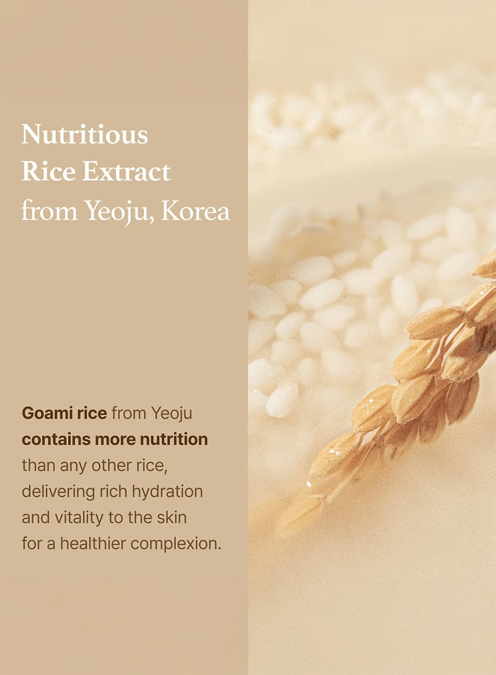 Rice Toner (150ml) - Image 7
