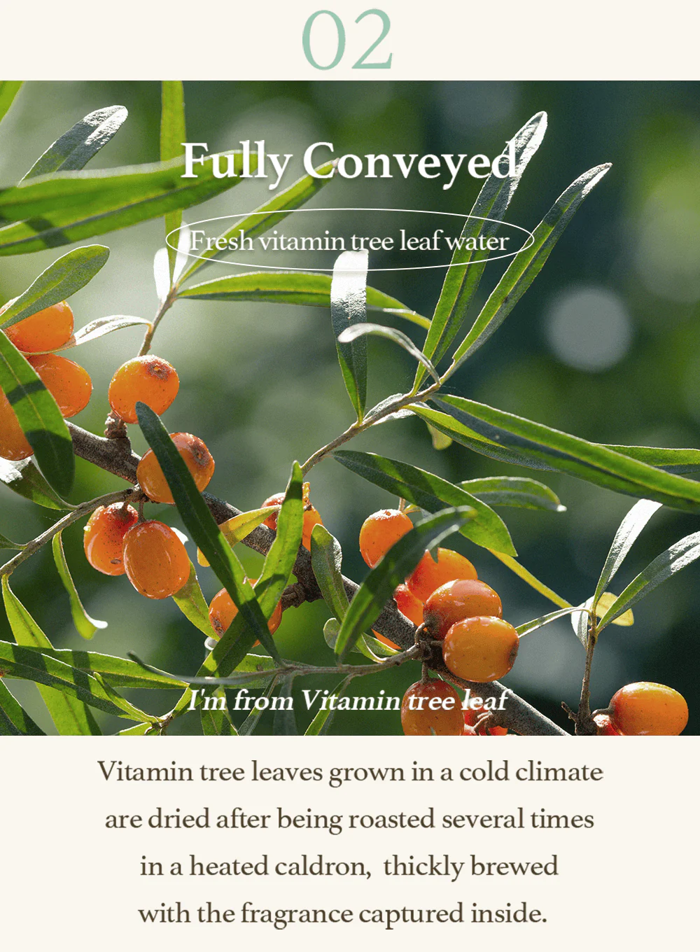 Vitamin Tree Sheet Mask (22ml / 1ea) - Image 14