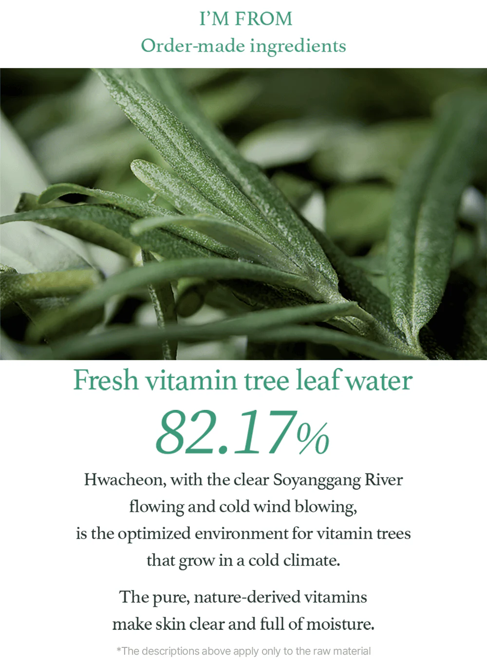Vitamin Tree Sheet Mask (22ml / 1ea) - Image 3