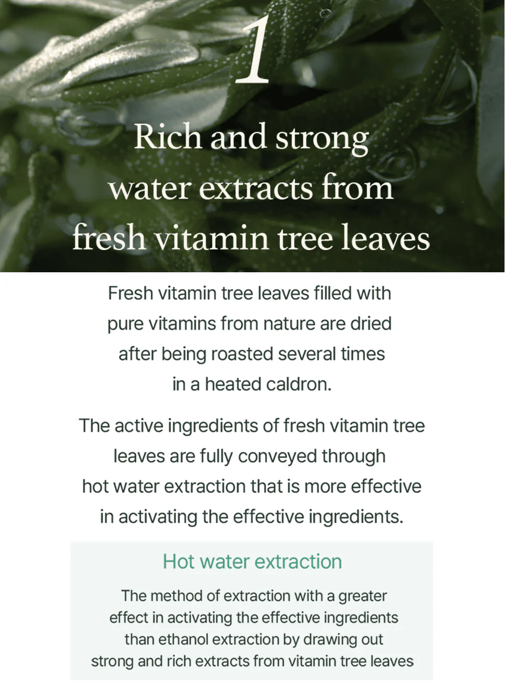 Vitamin Tree Sheet Mask (22ml / 1ea) - Image 4