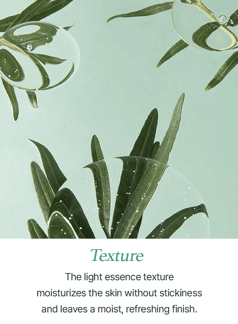 Vitamin Tree Sheet Mask (22ml / 1ea) - Image 9