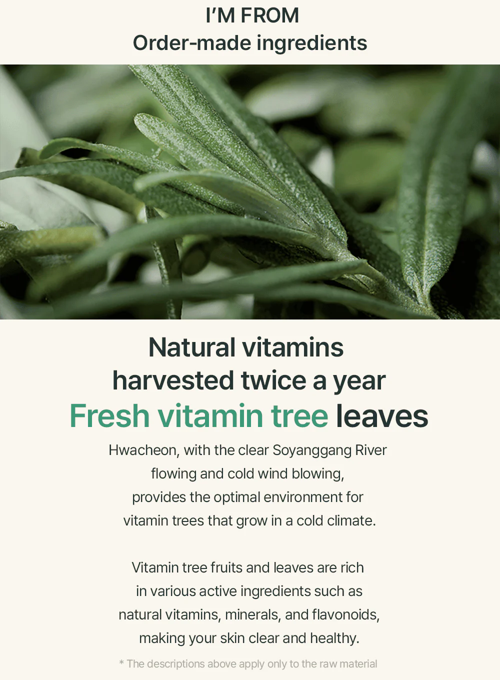 Vitamin Tree Water Gel Advanced (75g) - Image 5